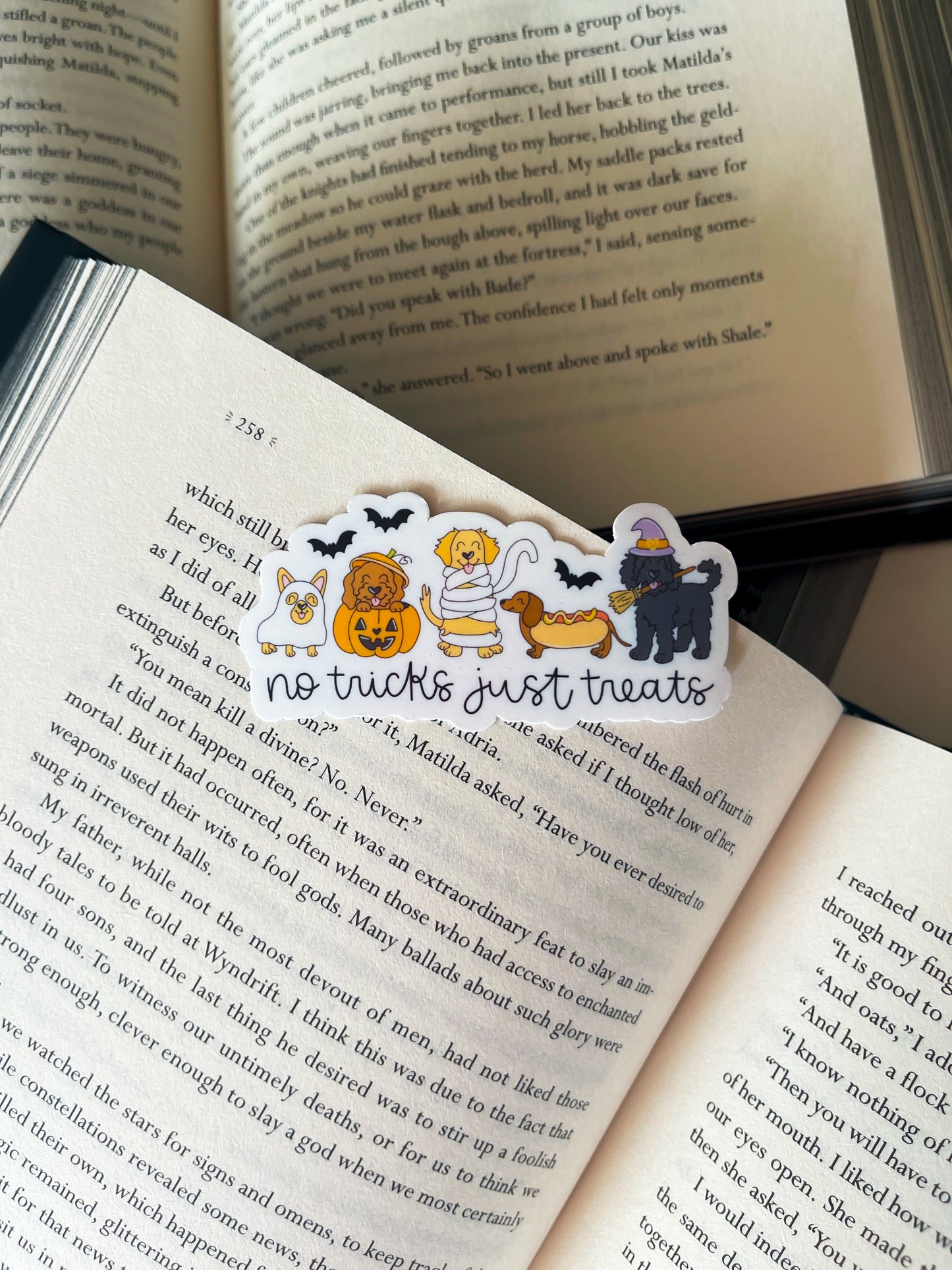 No Tricks / sticker