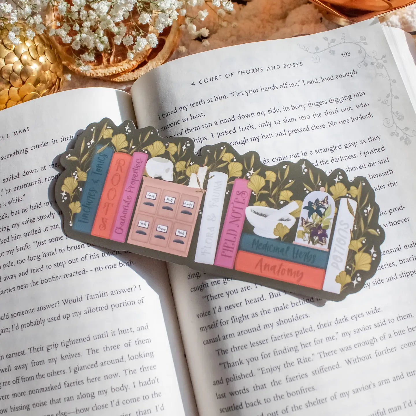 Apothecary Bookshelf / bookmark